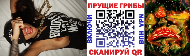 Галлюциногенные грибы мицелий  Купить  Гурьевск 